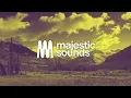 Ava Max - Spot a Fake (Lyrics)