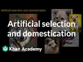 Artificial selection and domestication Natural selection AP Biology Khan Academy