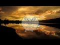 Camel Power Club - Ourson