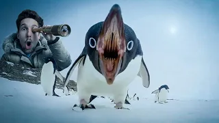 NON LAVORATE MAI con I PINGUINI! *PERICOLOSO*