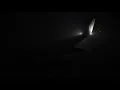 Inbound PHX-DCA AA 737-823 W N342PM 1 Nov 2018