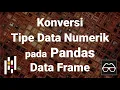 Pandas 03 Konversi tipe data String ke Numerik pada kolom Data Frame Python Pandas