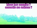 Download Lagu Weelisa mulugeeta lataa kotu kololeeto