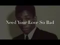 Need Your Love So Bad - Little Willie John