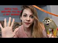 5 Things To Consider BEFORE Getting A Pet Monkey
