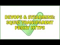 DevOps SysAdmins squid transparent proxy https