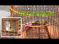 Download Lagu PERAWATAN HARIAN BURUNG CIKRAK BAMBU AGAR CEPAT JINAK \u0026 GACOR | CIKRAK BAMBU GACOR