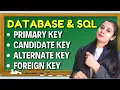 Database SQL Keys in DBMS Primary Candidate Alternate Foreign Class 12 Lovejeet