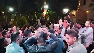 صحاب العريس ولعو فرح ابن اللواء محمدفى الهيلتون هاني الصعيدي فرحه جميله عائله البحيرى 2023 