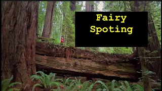 المخلوقات التي تتربص في الغابة الخضراء المظلمة 