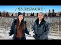 Can You Afford a 120-Acre Homestead in Upstate NY