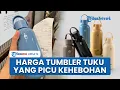 Segini Harga Tumbler Tuku yang Bikin Heboh, Buat Anita Dipecat karena Tuduh Pegawai KAI Salahi SOP