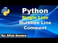 Comments in Python in Urdu and Hindi