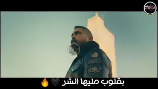 العركه لو ابتدت   هتزعل    دندنها