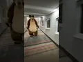 Lagu bear chases person down hall (original)