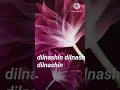 Download Lagu Dilnashin Dilnashin unplugged cover song upload by sing alone