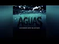 Aguas [Visualizer Official] (Sin Censura) - Luis R Conrriquez, Neton Vega & Rey Quinto