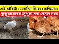 Lagu এইকেইটা ভেকচিন দিলে কেতিয়াও কুকুৰাবোৰৰ জুপুকা মৰা বেমাৰ নহয়(Murgi Palan,Chicken Care)