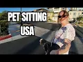 A Day in My Life My First International Pet Sit in Las Vegas