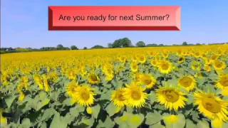 How many days until summer Untildays com