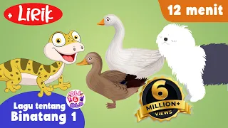 cicak cicak di dinding lirik dan lagu lainnya 12 menit oli ola kids