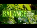 Guided Mindfulness Meditation Gently Balance Your Nervous System 11 Minutes Spoken