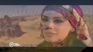 بيضة الديك   بشار بن برد    وائل حبال دندنها