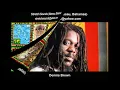 Little Green Apples - Christopher Martin Ft. Dennis Brown (Stretch Sounds Remix)