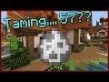 Why Stranded Can t Max Taming Hypixel Skyblock