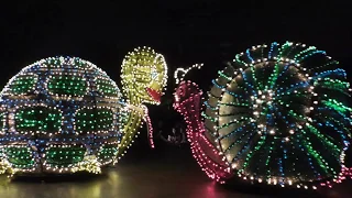 main street electrical parade part 1 feat casey jr train and alice in wonderland disneyland resort