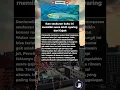 Download Lagu Ikan Sekecil Kuku, Suaranya Kalahkan Gajah?! 😱🐟