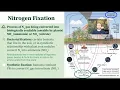APES 1 5 Notes - Nitrogen Cycle