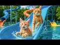Download Lagu Mama Cat and Kitten Sell Sweet Strawberries Juice to Make Their Dream Water Park Trip Come True! 🍓💦🐾