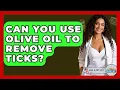 Can You Use Olive Oil To Remove Ticks - Ask A Pet Vet