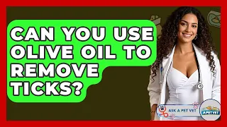 Can You Use Olive Oil To Remove Ticks - Ask A Pet Vet