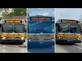 MBTA Yoshi s Ride Series - All Quincy District Bus Routes Extra Routes ft awh a1ice
