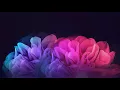 Syamel - Lebih Sempurna Lirik