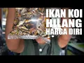 Download Lagu Kemana Larinya Ikan Koi Yang Di Sortir?
