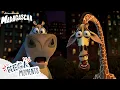 All of Gloria s Glamorous Moments Madagascar Compilation Mega Moments