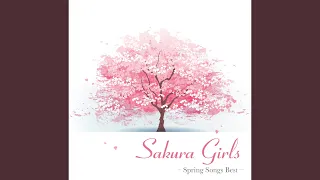 桜並木道 / Chaki【Sakura Girls -Spring Songs Best-】