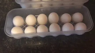 Dollar Tree Egg Storage Container Must Have