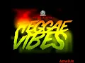 Download Lagu Sona Kitna Sona Hai Reggae shahbaz present djs