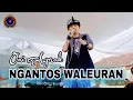 Download Lagu Ngantos Waleuran - Oni aprak || Cipt.Ujang Coplox || CoverLive Panggung || Versi Bajidor