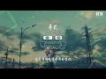 坠子 - 寻花『当你看清 这个世界的虚无』【動態歌詞Lyrics】