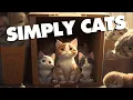 Simply Cats Boise Inside the Cat Shelter