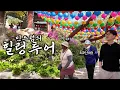 Download Lagu 켄터키에서 온 미국 노부부의 행복한 서울 힐링 투어