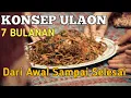 Download Lagu 7 Bulanan Adat Batak - Pasahat Ulos Mula Gabe