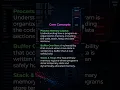 Exploit Development Basics Explained A Beginner s Guide