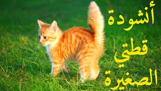 أنشودة قطتي الصغيرة أنشودة الاطفال قطتي صغيرة واسمها نميرة بدون موسيقى بدون إيقاع 