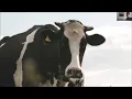 Download Lagu Webinar Dag van de Kringlooplandbouw  - Biolectric (Erwin Bonestroo)